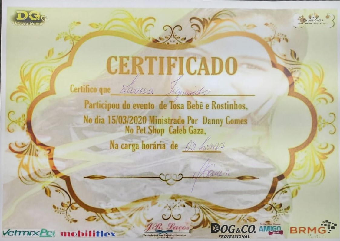 Curso